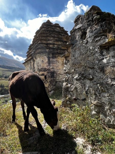 Комитет по туризму Северной Осетии и два туроператора договорились развивать туризм в регионе